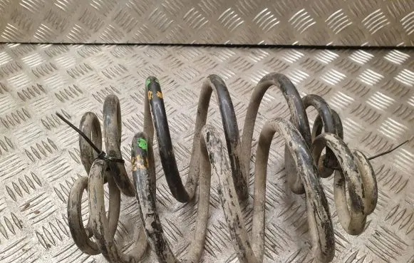 Volkswagen PASSAT B5 Rear coil spring