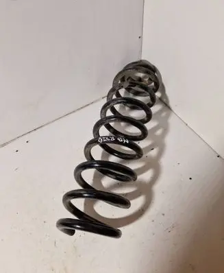 Rear coil spring