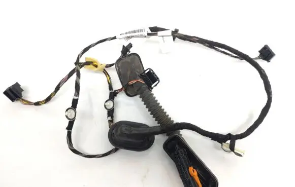 Rear door wiring loom
