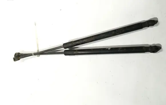 Nissan Murano Z51 Tailgate/trunk strut/damper 9732XC0550N 904511AB0A