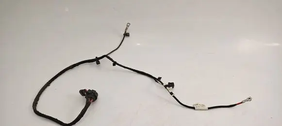 Volkswagen ID.3 Other wiring loom 1EB971111D