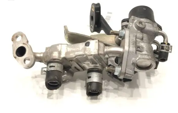 EGR valve