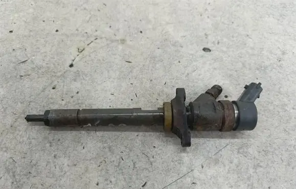 Ford Focus Fuel injector 0445110259