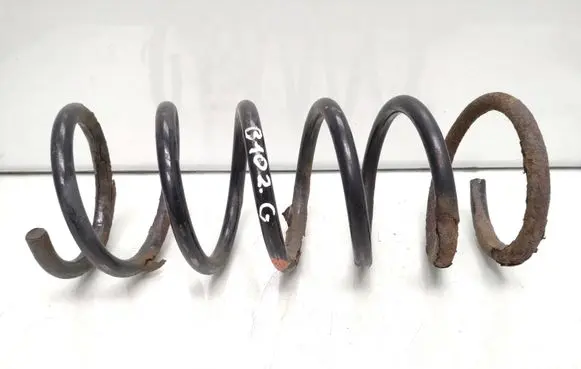 Rear coil spring