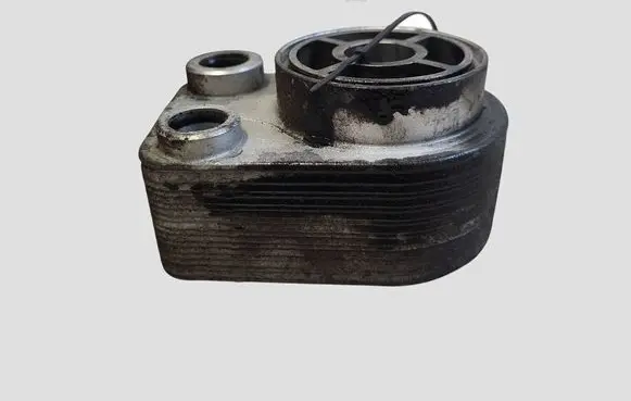 Mercedes-Benz A W176 Engine oil radiator 8200779744