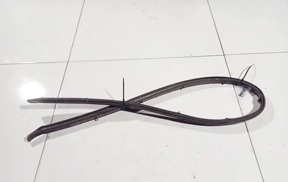 Opel Insignia A Rubber seal front coupe door 