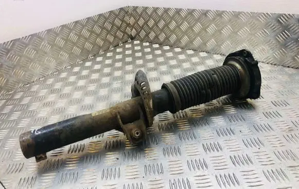 Volkswagen PASSAT B6 Front shock absorber/damper 3C0413031