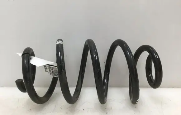 Nissan Juke I F15 Rear coil spring 