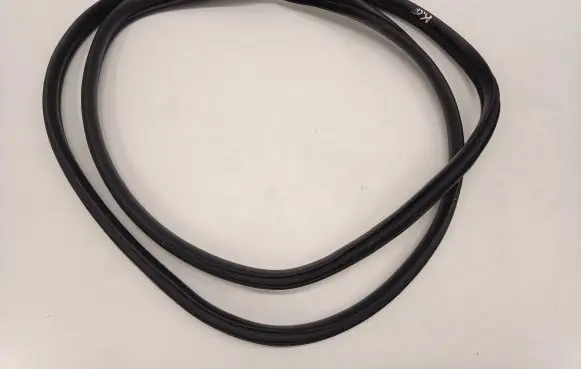 Hyundai Ioniq 5 Rear door rubber seal (on body) 