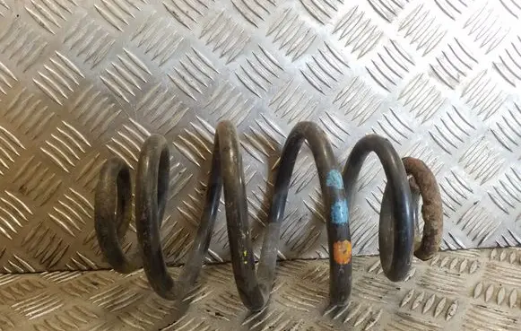 Rear coil spring