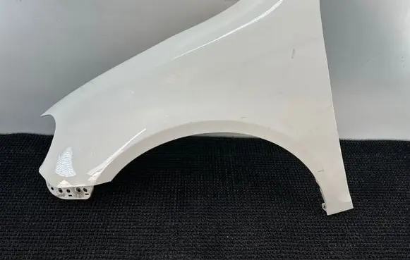 Volkswagen Golf VI Fender