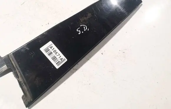 Other rear door trim element