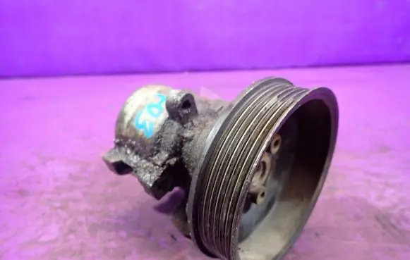 Seat Ibiza III (6L) Power steering pump