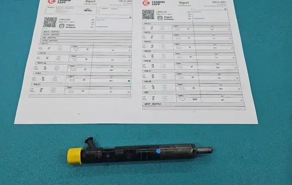 Renault Kangoo I Fuel injector EJBR05102D IMPRK1558435
