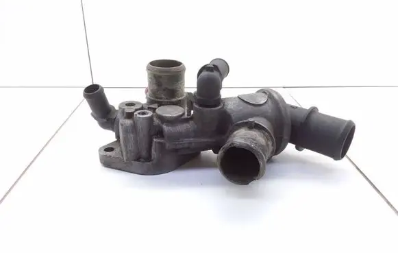 Thermostat/thermostat housing