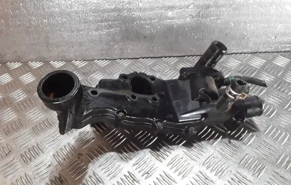 Thermostat/thermostat housing