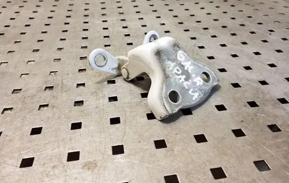 Opel Antara Rear door lower hinge A047587