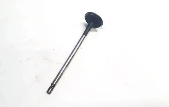 Renault Vel Satis Valve 