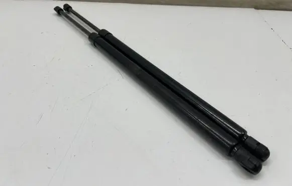 Tailgate/trunk strut/damper