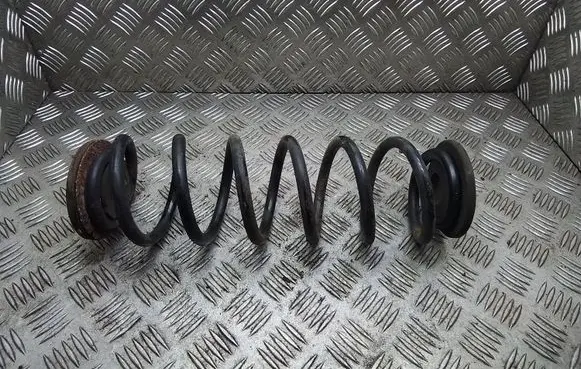 Skoda Octavia Mk2 (1Z) Rear coil spring