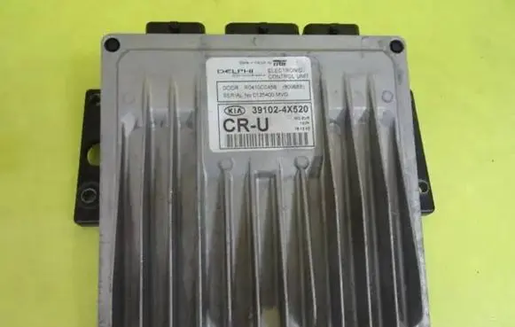 KIA Carnival Engine control unit/module 391024X520