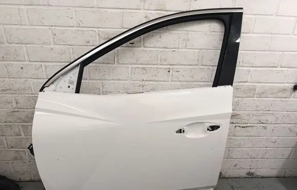 Hyundai Tucson IV NX4 Front door