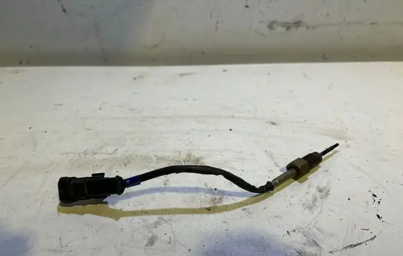 Exhaust gas temperature sensor