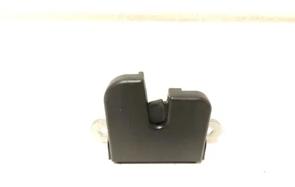 Volkswagen Tiguan Loading door lock