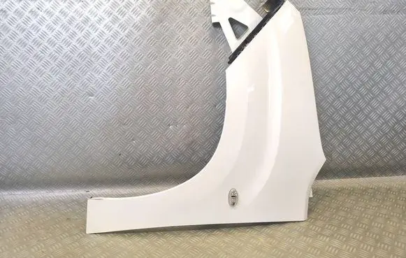 Citroen Berlingo Fender CITOENBERLINGOIV EWP