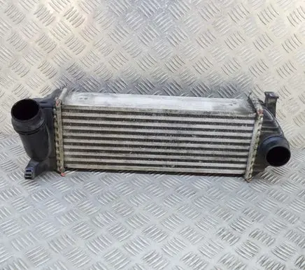 Mercedes-Benz Citan W415 Intercooler radiator 144963234R Y5665002