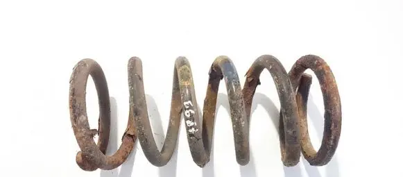 Hyundai Santa Fe Rear coil spring