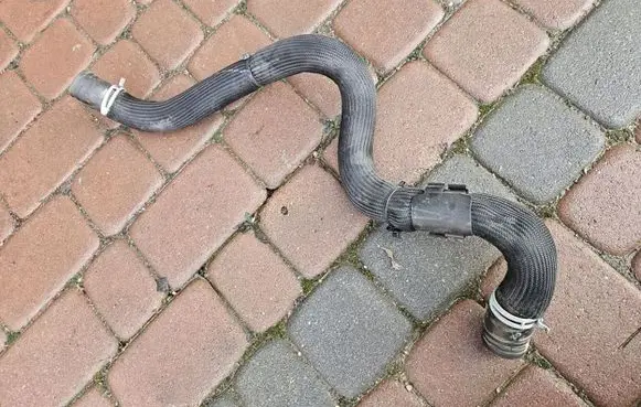 Renault Megane IV Engine coolant pipe/hose 924004058R
