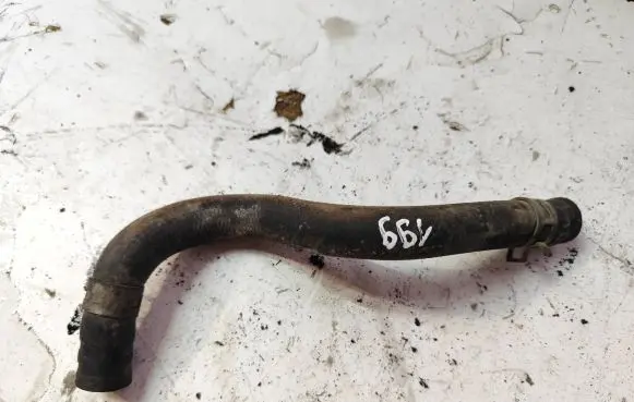 Honda Accord Engine coolant pipe/hose