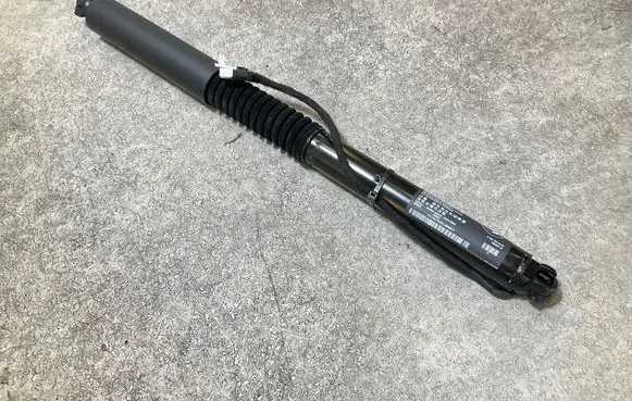 Tailgate/trunk strut/damper