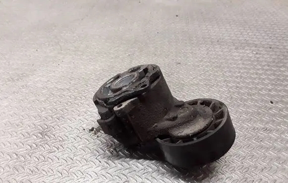 Citroen Jumper Generator/alternator belt tensioner 