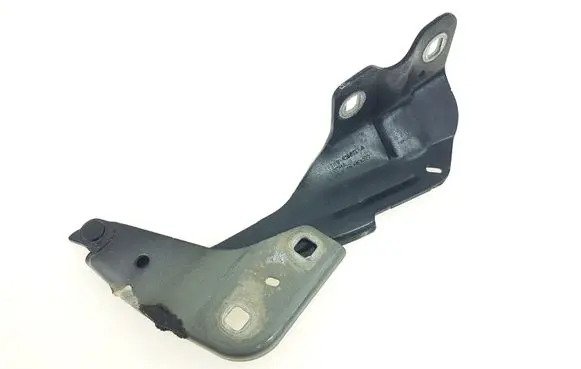 Ford Edge II Engine bonnet/hood hinges FT4BR16801A VL256