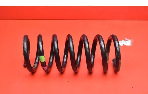 Rear coil spring