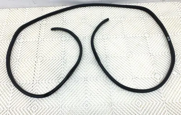 Renault Trafic III (X82) Rubber seal front door (on door) 
