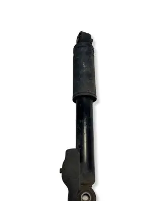 Hyundai Santa Fe Rear shock absorber/damper 553102B510