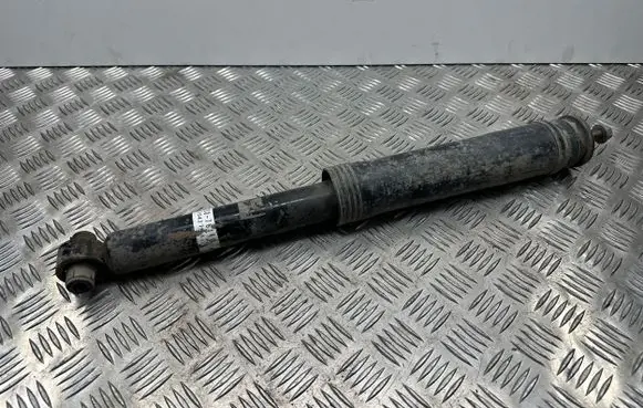 Lexus CT 200H Rear shock absorber/damper 4853076110