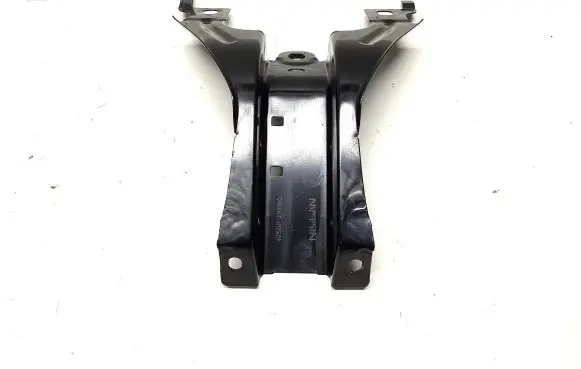 Engine bonnet/hood lock trim molding