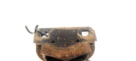 Citroen Berlingo Other exterior part 