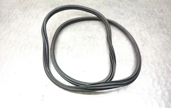 BMW X4 G02 Rear door rubber seal (on body) 7416517