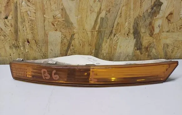 Volkswagen PASSAT B6 Front indicator light 3C0953041J
