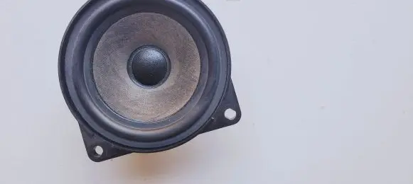 BMW X1 F48 F49 Front door speaker 9169691