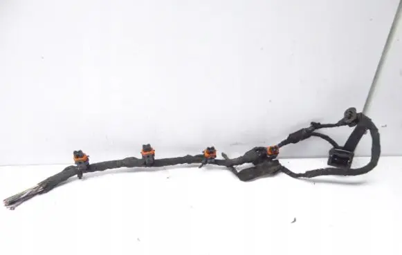 Ford Focus C-MAX Fuel injector wires 