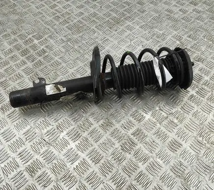 Opel Crossland X Front shock absorber/damper 9841119480
