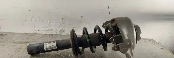 Front shock absorber with coil spring