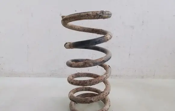 Hyundai Santa Fe Rear coil spring
