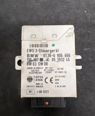 BMW 3 E46 Immobilizer control unit/module 6905666 1CP050TC95